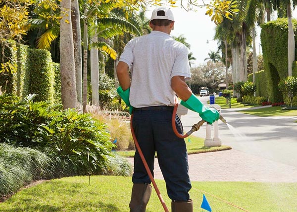 About Swepsonville NC Pest Control Pros